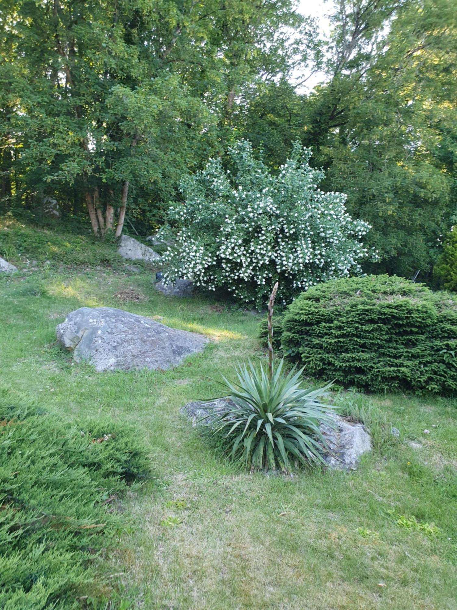 Bed and Breakfast Le Jardin Des Roches Moigny Exteriér fotografie